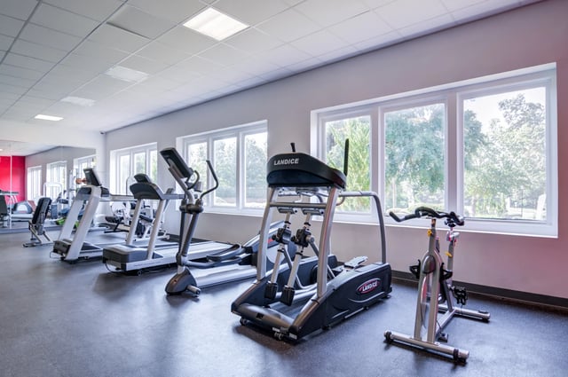 Treadmills, ellipticals, and stationary bikes in a well-lit fitness center with large windows.