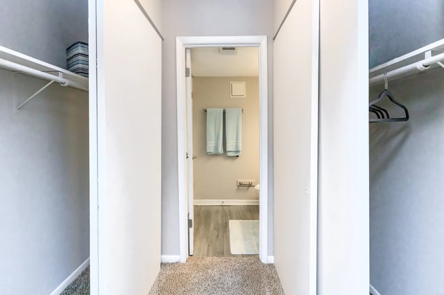 View into a bathroom with light blue towels hanging on a rack. Carpeted hallway with closets on either side.