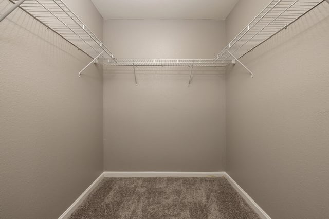 Empty walk-in closet with wire shelving