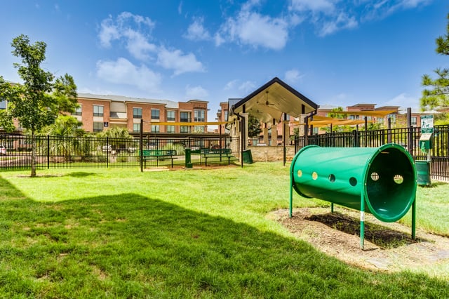 Outdoor dog park with a green tunnel, benches, and apartment buildings in the background.