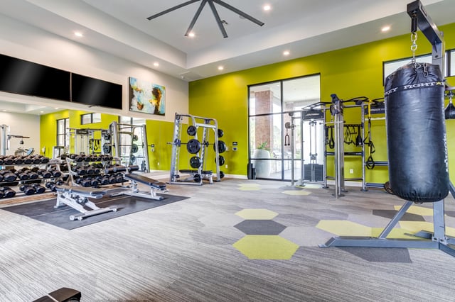 Modern apartment gym with dumbbells, weight machines, and punching bag.