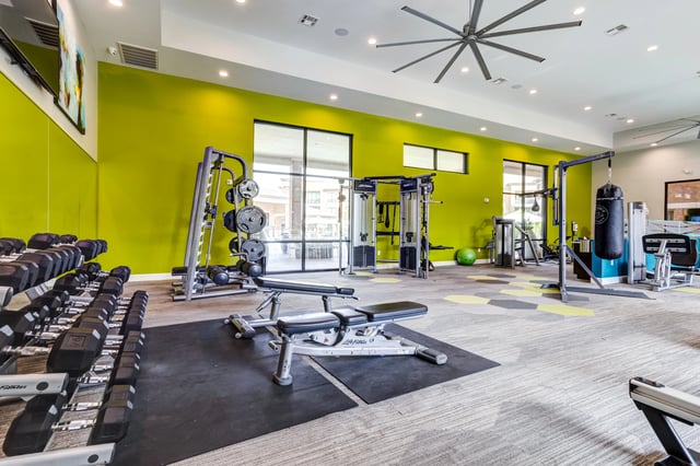 Gym with dumbbells, weight machines, and punching bag.