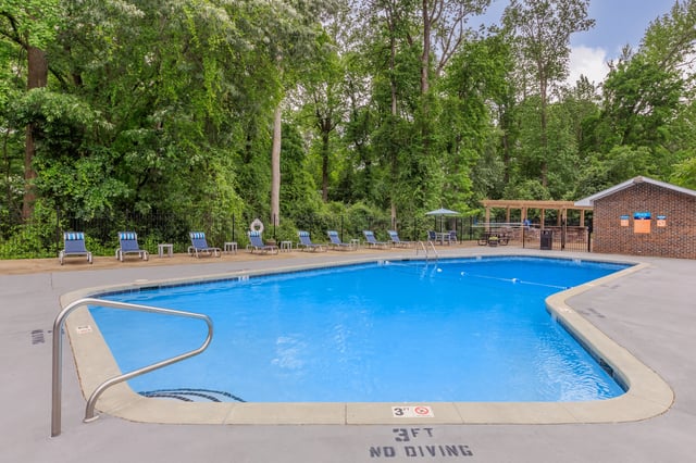 Swimming pool with lounge chairs and trees
