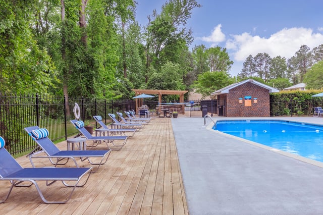 Sun loungers by a swimming pool with trees in the background