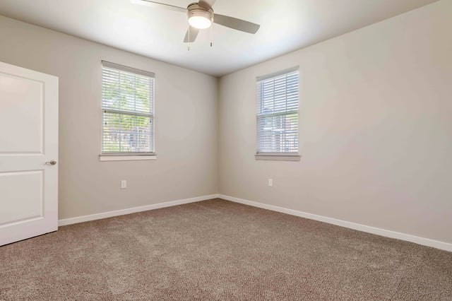 Empty bedroom with plush carpet, a ceiling fan, and two windows with blinds.