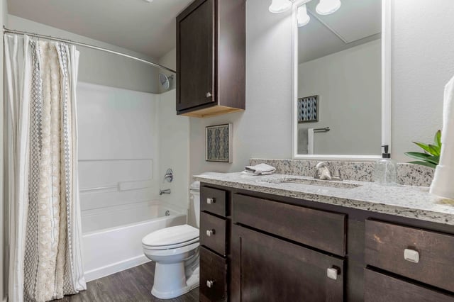 Bathroom with vanity, toilet, and bathtub with shower.