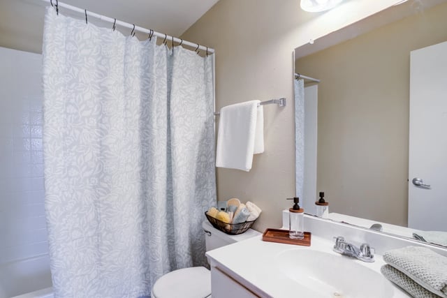 Bathroom with vanity, sink, toilet, and shower with decorative curtain.