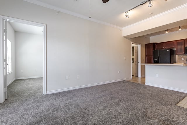 Living room with view of kitchen and doorway to another room.