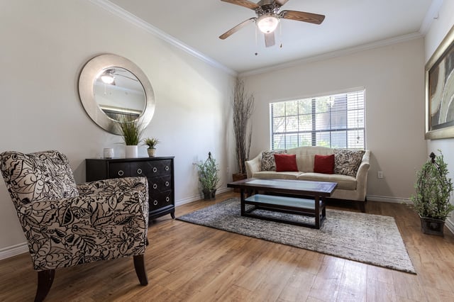 Living room with a sofa, armchair, coffee table, and decorative mirror.