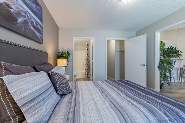 Bedroom with a large bed, nightstand with a lamp, and an open doorway to a bathroom and closet.