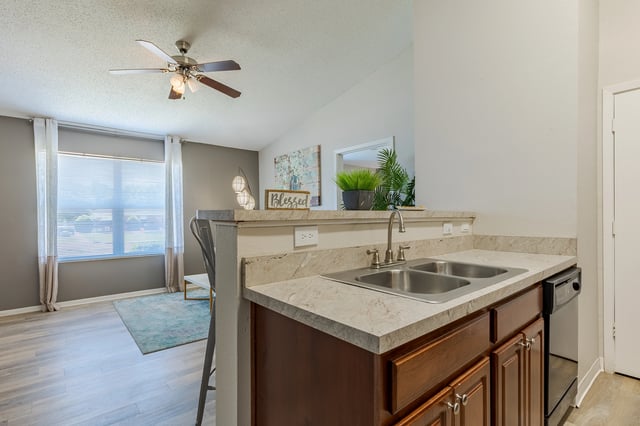 Kitchen counter with double sink and dark wood cabinets, opens to living area with blinds and a ceiling fan.