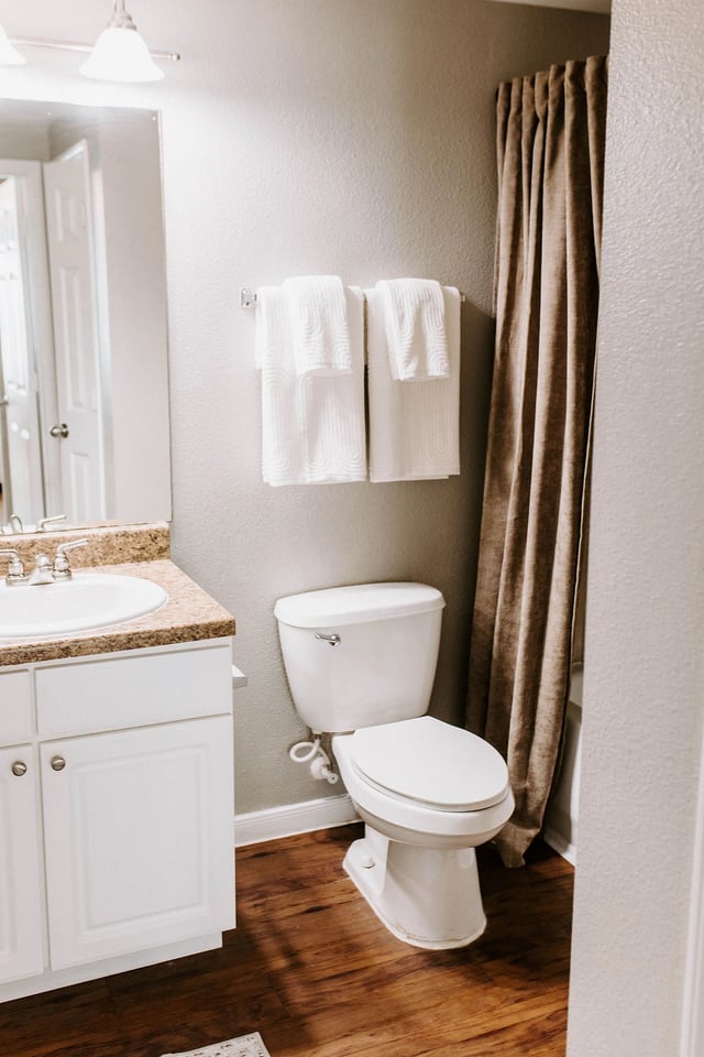 Bathroom with toilet, vanity, and shower curtain.