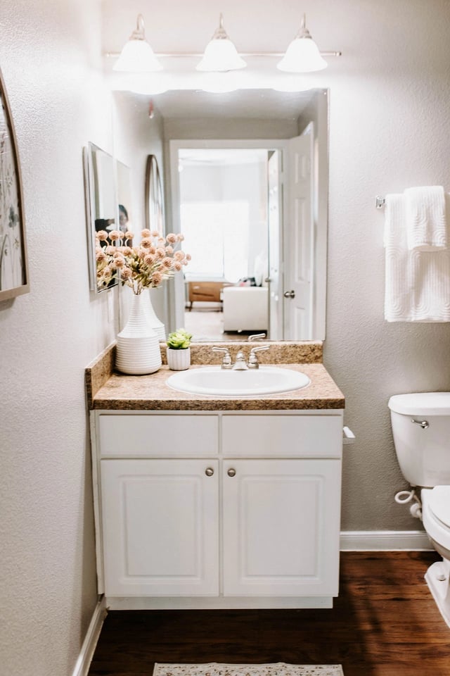 Bathroom vanity with sink, mirror, and toilet.