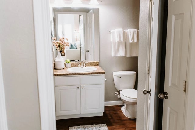 Bathroom vanity with sink, mirror, and toilet.