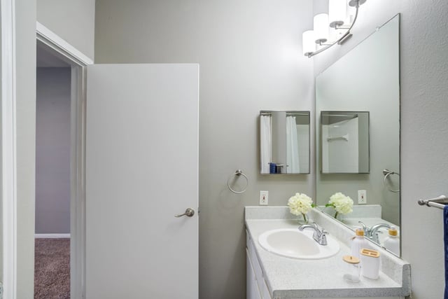 Bathroom with vanity, sink, mirror, and shower visible through open door.