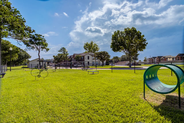 A fenced dog park with agility equipment like tunnels and jumps.