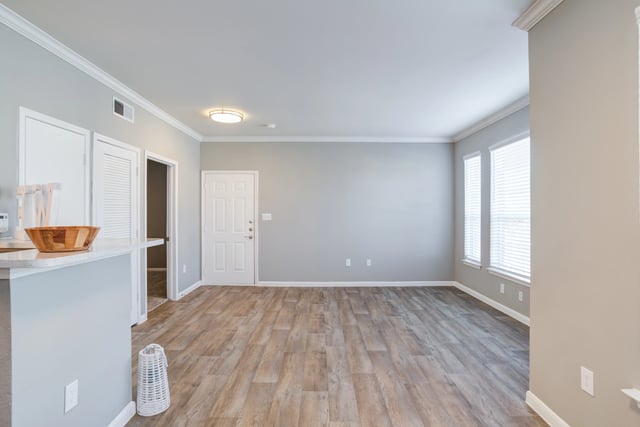 Living room and entrance to an apartment