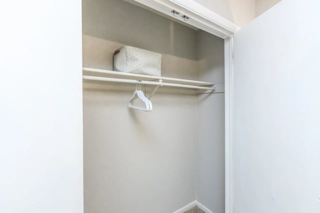 Empty closet with shelf and hangers