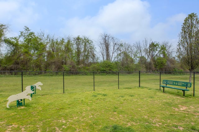 Outdoor dog park with agility equipment and a bench.