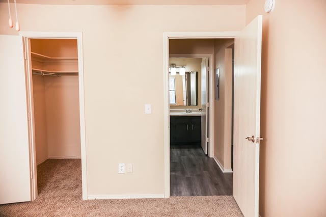 Bedroom with closet and adjacent bathroom vanity