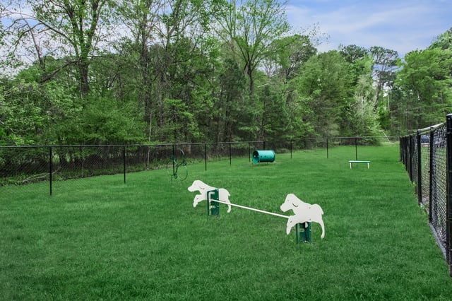Fenced dog park with agility equipment like a tunnel, jumps, and a teeter totter.