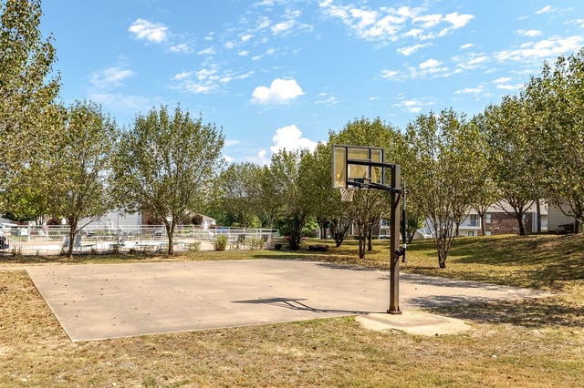 Outdoor basketball court with a basketball hoop and trees surrounding it.