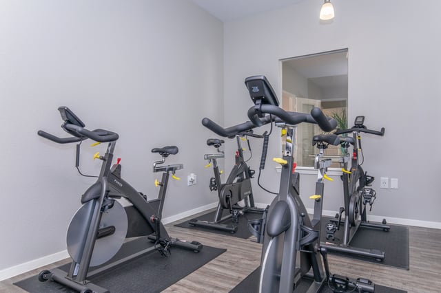 Stationary bikes in a gym.