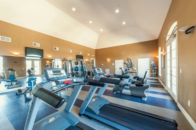 Treadmills, ellipticals, and weight machines in a spacious, well-lit fitness center.