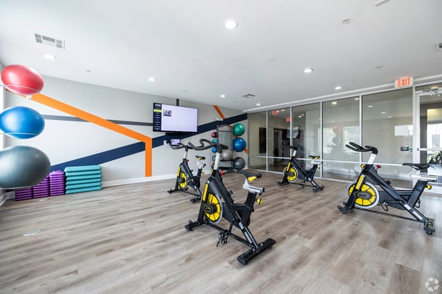 Spin bikes and exercise balls in a modern gym.
