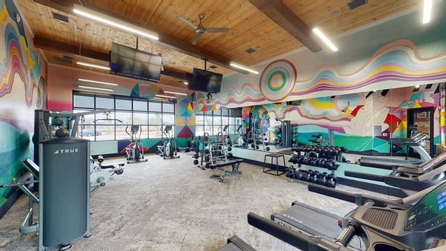 Gym with treadmills, ellipticals, weight machines, and dumbbells, featuring vibrant abstract murals and large windows.