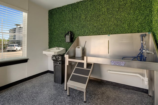 Dog grooming station with stainless steel tub, sink, and green wall.