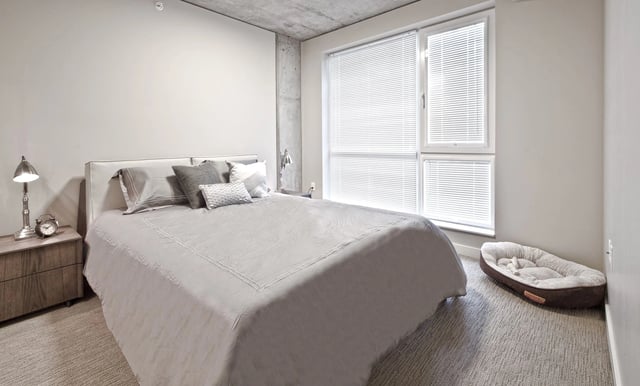 Modern apartment bedroom with a king-size bed, nightstand, and large window.