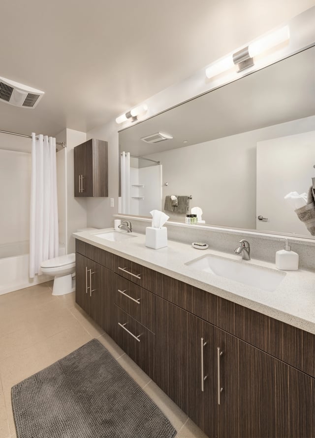 Modern bathroom with double vanity, soaking tub, and walk-in shower.