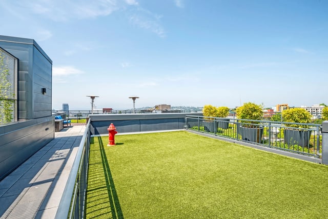 Rooftop dog park with artificial turf and city views