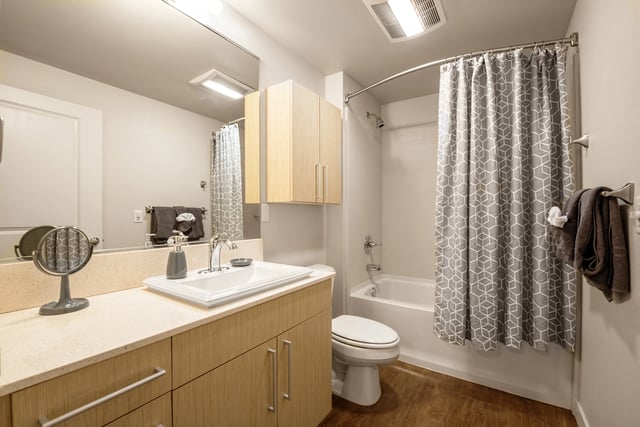 Modern bathroom with wood-look flooring, vanity, sink, toilet, and shower with patterned curtain.