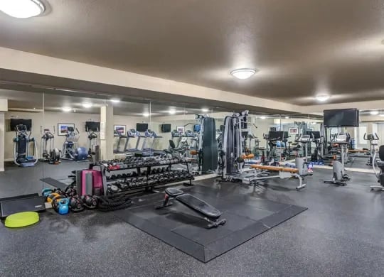 Indoor residential gym with cardio machines, free weights, and mats.