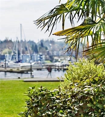 View of a marina with sailboats, docks, and a distant shoreline, framed by palm fronds and lush green bushes.
