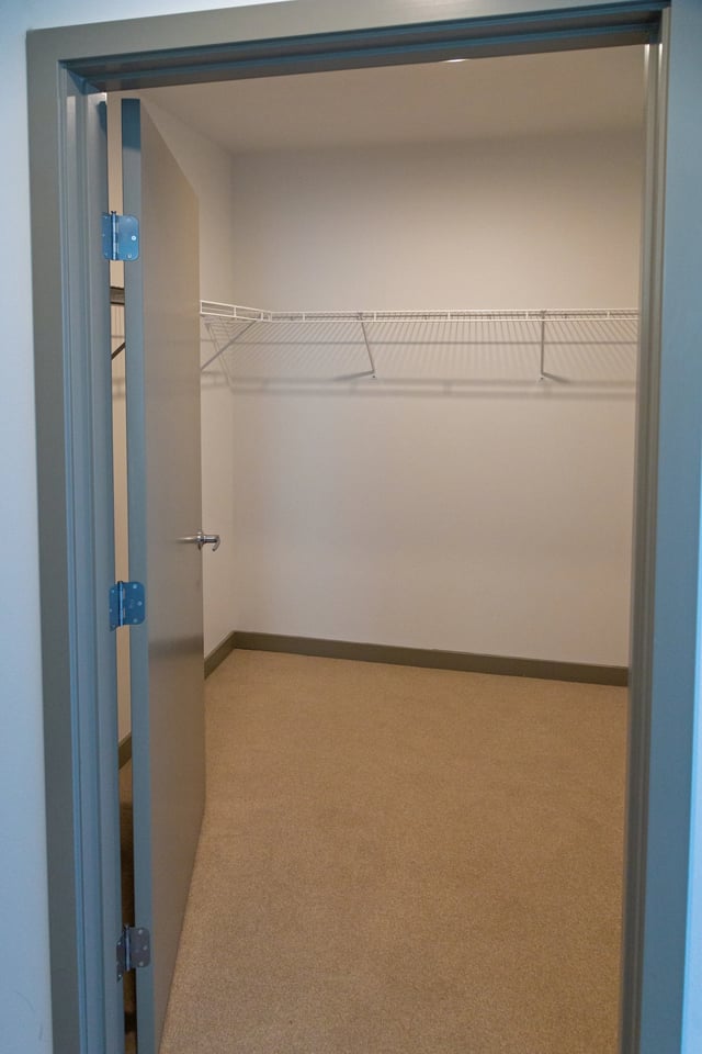 Empty walk-in closet with shelving.