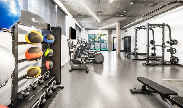 Modern apartment gym with cardio machines, weight racks, and free weights.