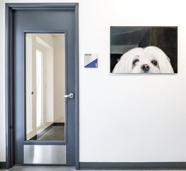Door to pup spa with a painting of a white dog above the sign.