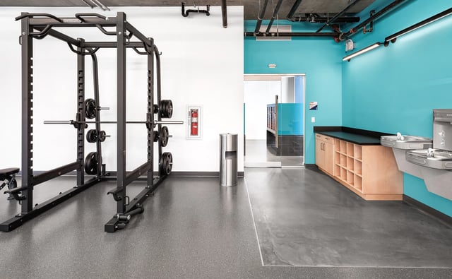 Weight rack with weights and a bench in a fitness center.