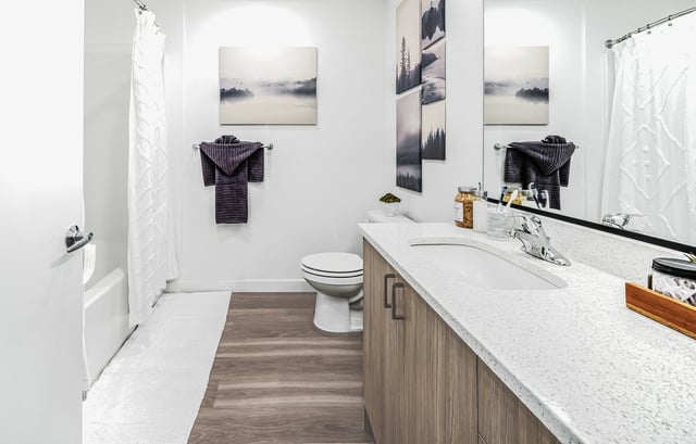 Modern bathroom with vanity, toilet, and bathtub with shower curtain.