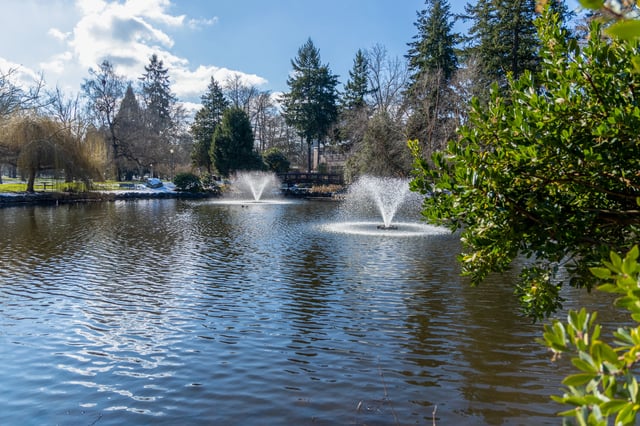 Serene pond with two fountains and lush greenery.