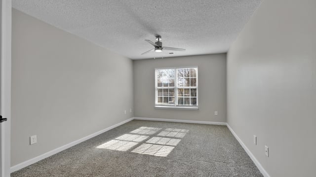 Empty bedroom with gray carpet, ceiling fan, and a window with blinds letting in sunlight.