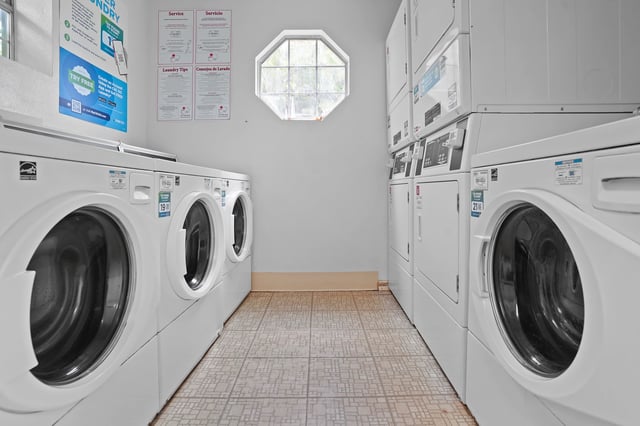 Laundry room with rows of washers and dryers.