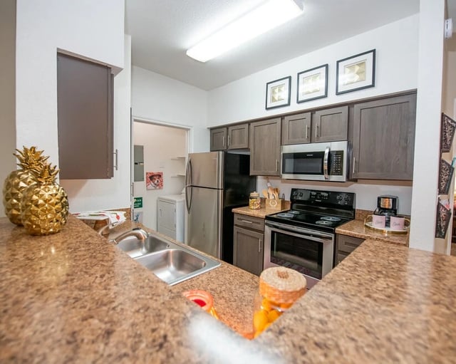 Modern kitchen with stainless steel appliances, granite countertops, and dark wood cabinets.