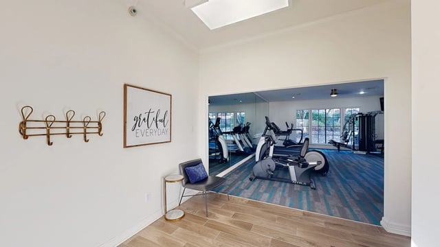 Gym with treadmills, ellipticals, and weight machines, featuring large mirrors and blue carpet.