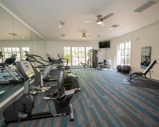 A gym with treadmills, elliptical machines, and a television.