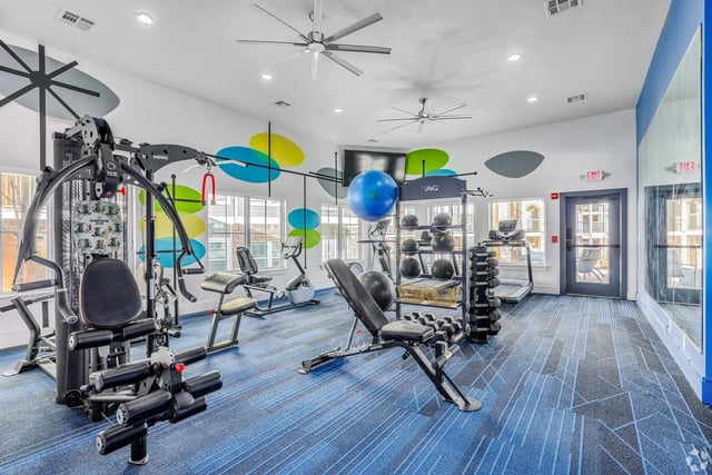 Interior of a modern apartment complex gym with cardio machines, weight machines, free weights, and a large blue exercise ball.