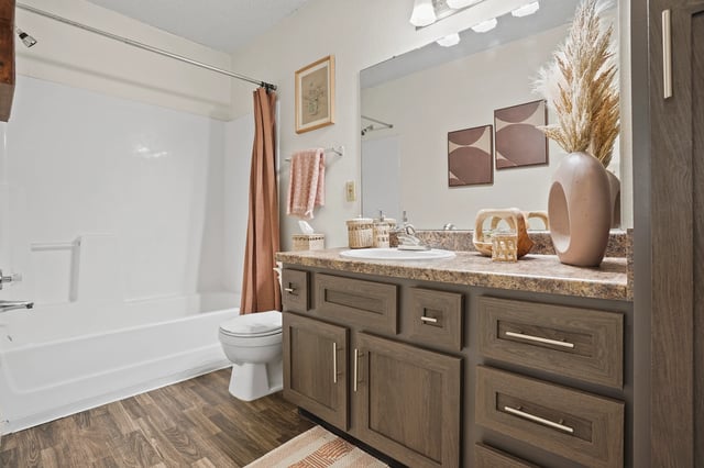 Modern bathroom with vanity, toilet, and shower/tub combo.